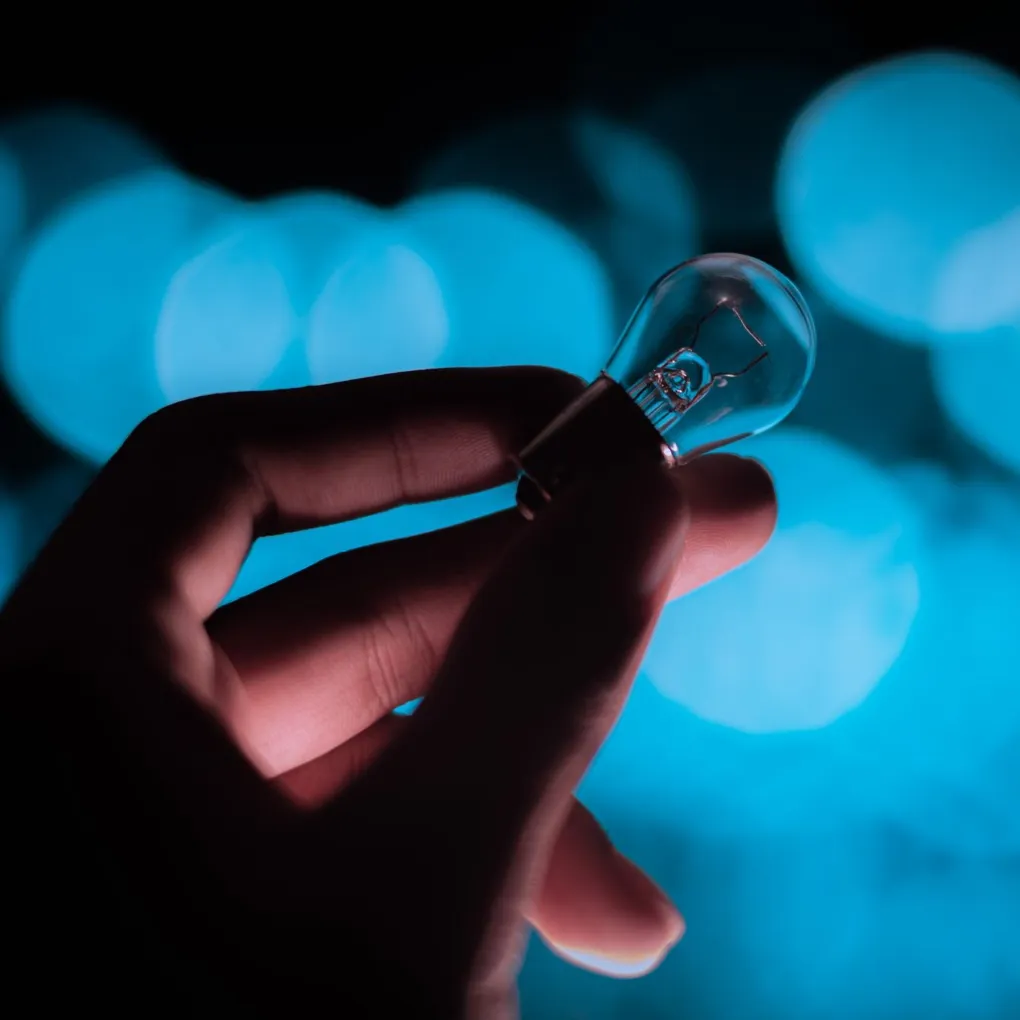 Human potential - short essay